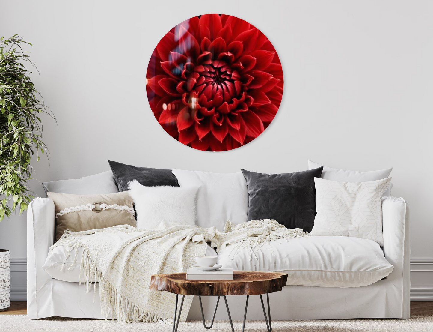 Scarlet Red Dahlia Wall Art