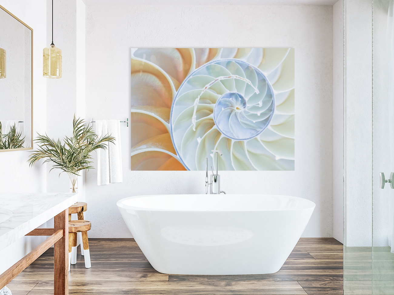 Spiral Perfection Sea Shell Bath Room Wall Art