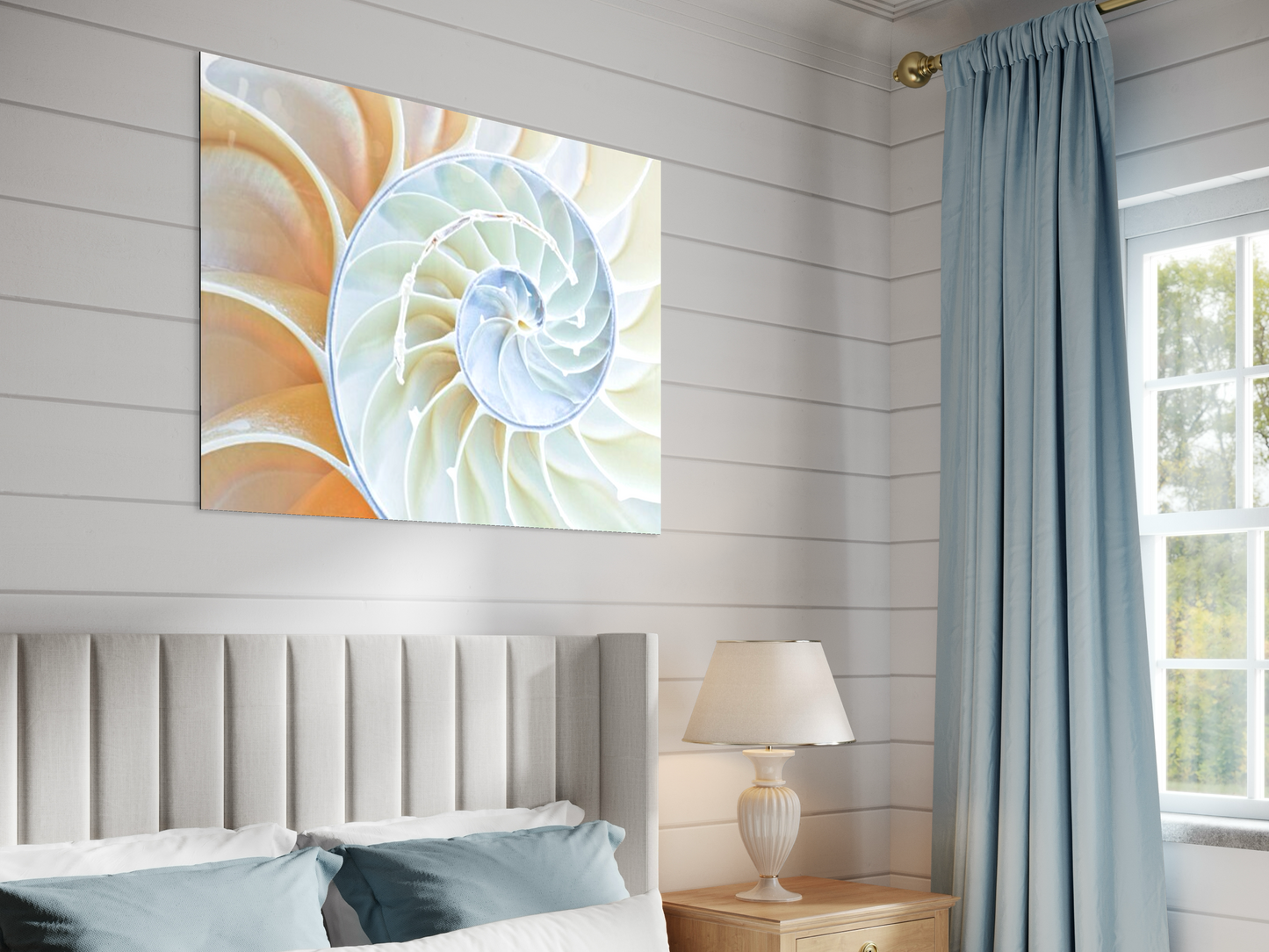 Spiral Perfection Sea Shell Bed Room Art