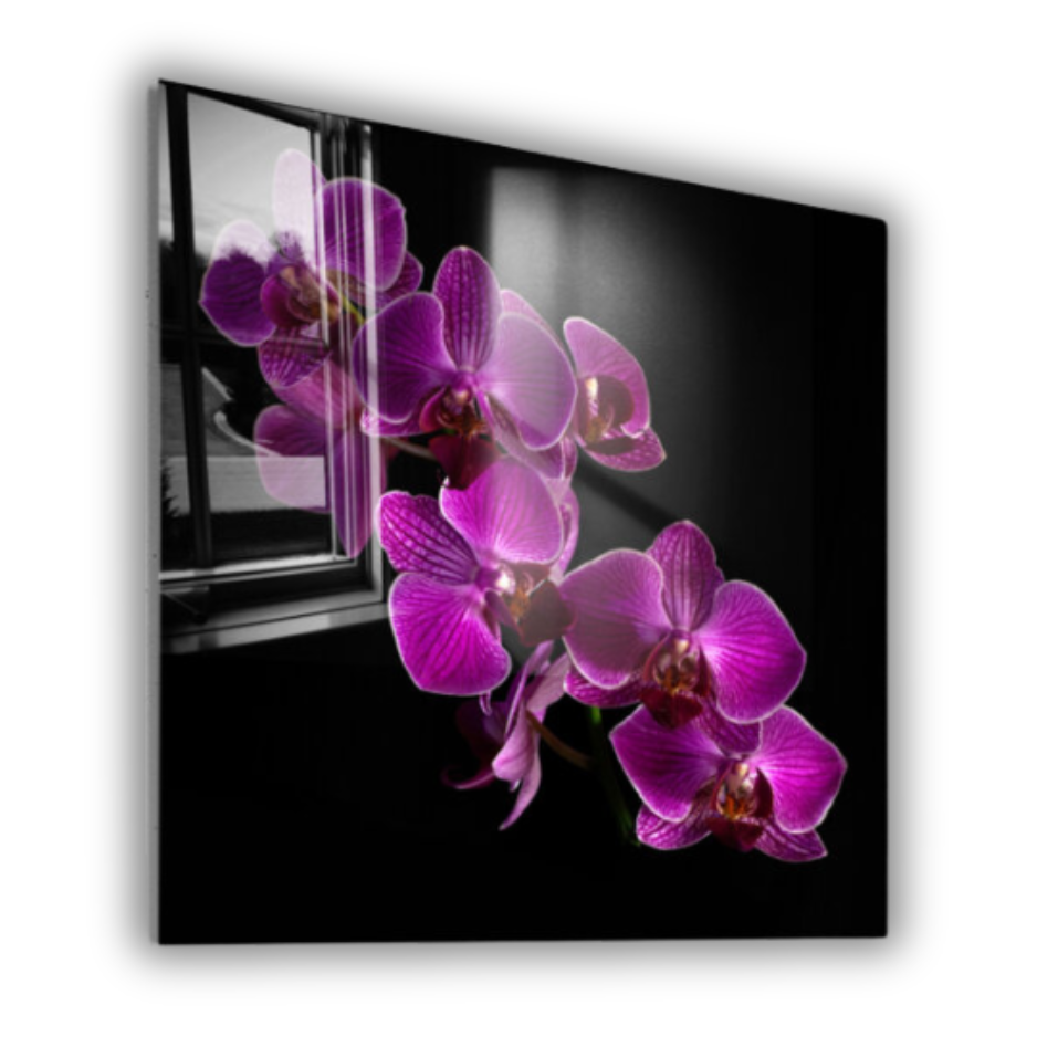 Vibrant Purple Orchid Floral Wall Art