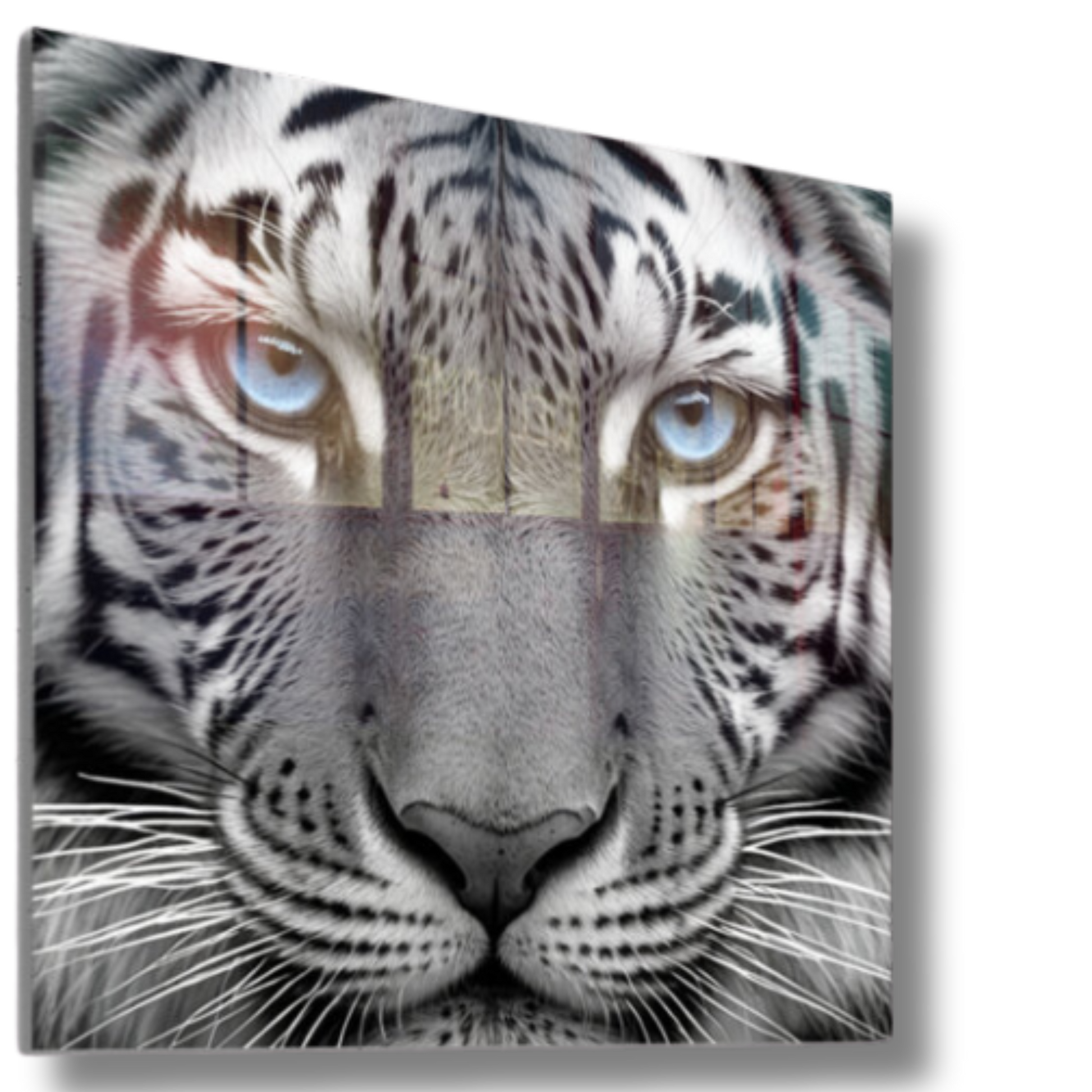 Azure Blue Eyed Tiger Art