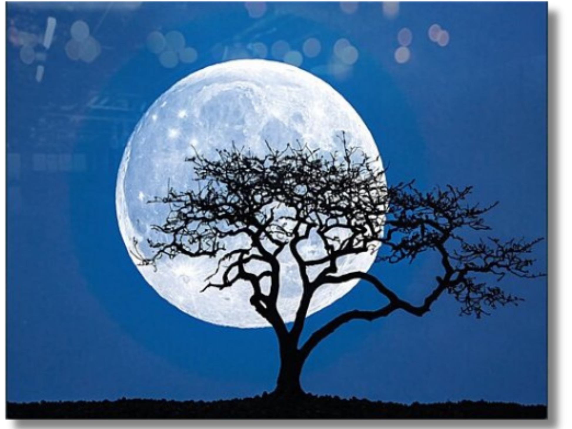  Blue Full Moon Echoes Wall Artwork