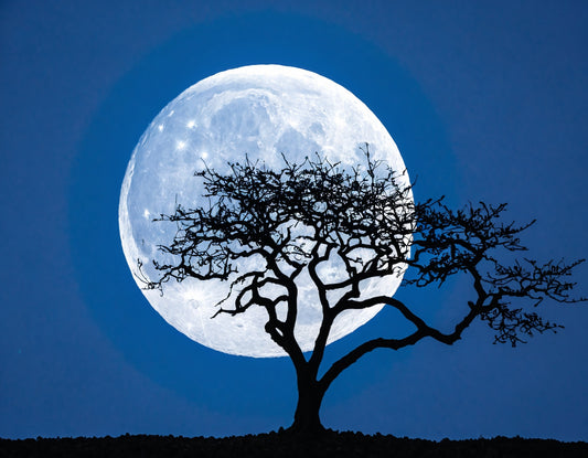  Blue Full Moon Echoes Wall Art