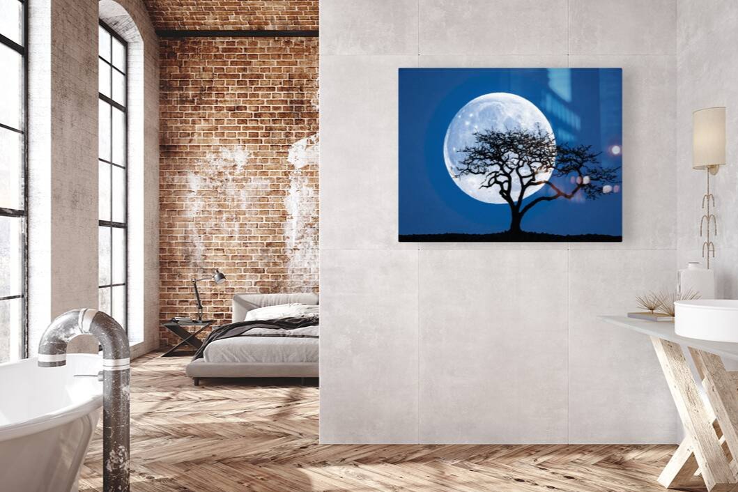  Blue Full Moon Echoes Wall Artwork