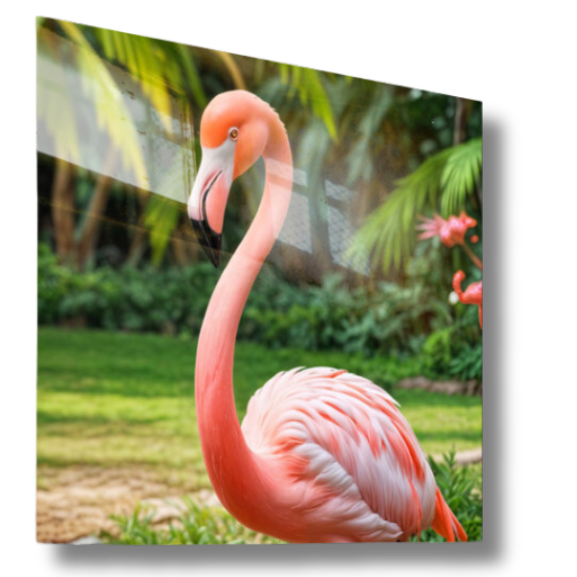 Grace in Pink Flamingo Wildlife Wall Artwork