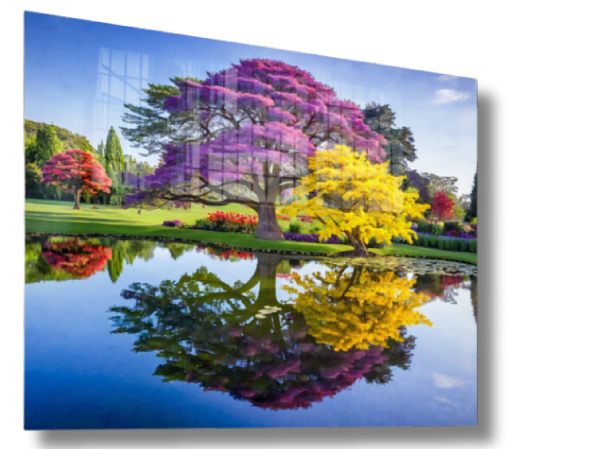 Mystical Reflections Art