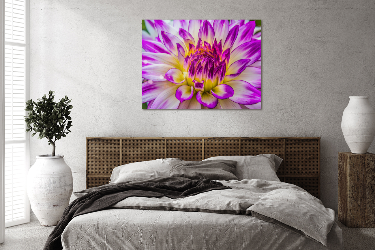 Neon Blooming Dahlia Bedroom Wall Art