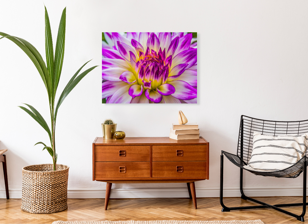 Neon Blooming Dahlia Living Room Artwork