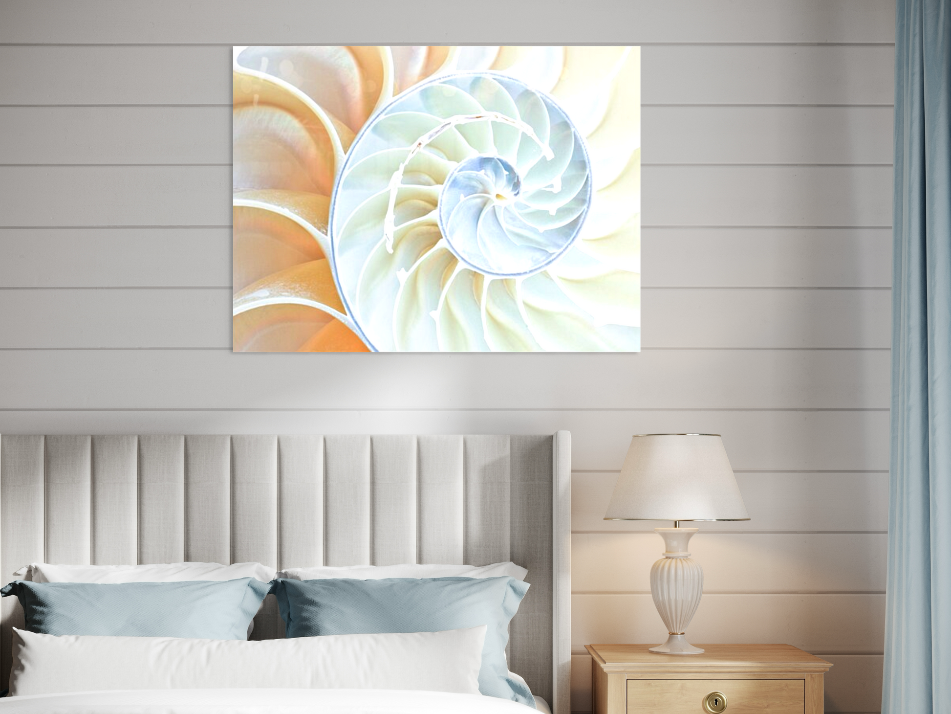 Spiral Perfection Sea Shell Art