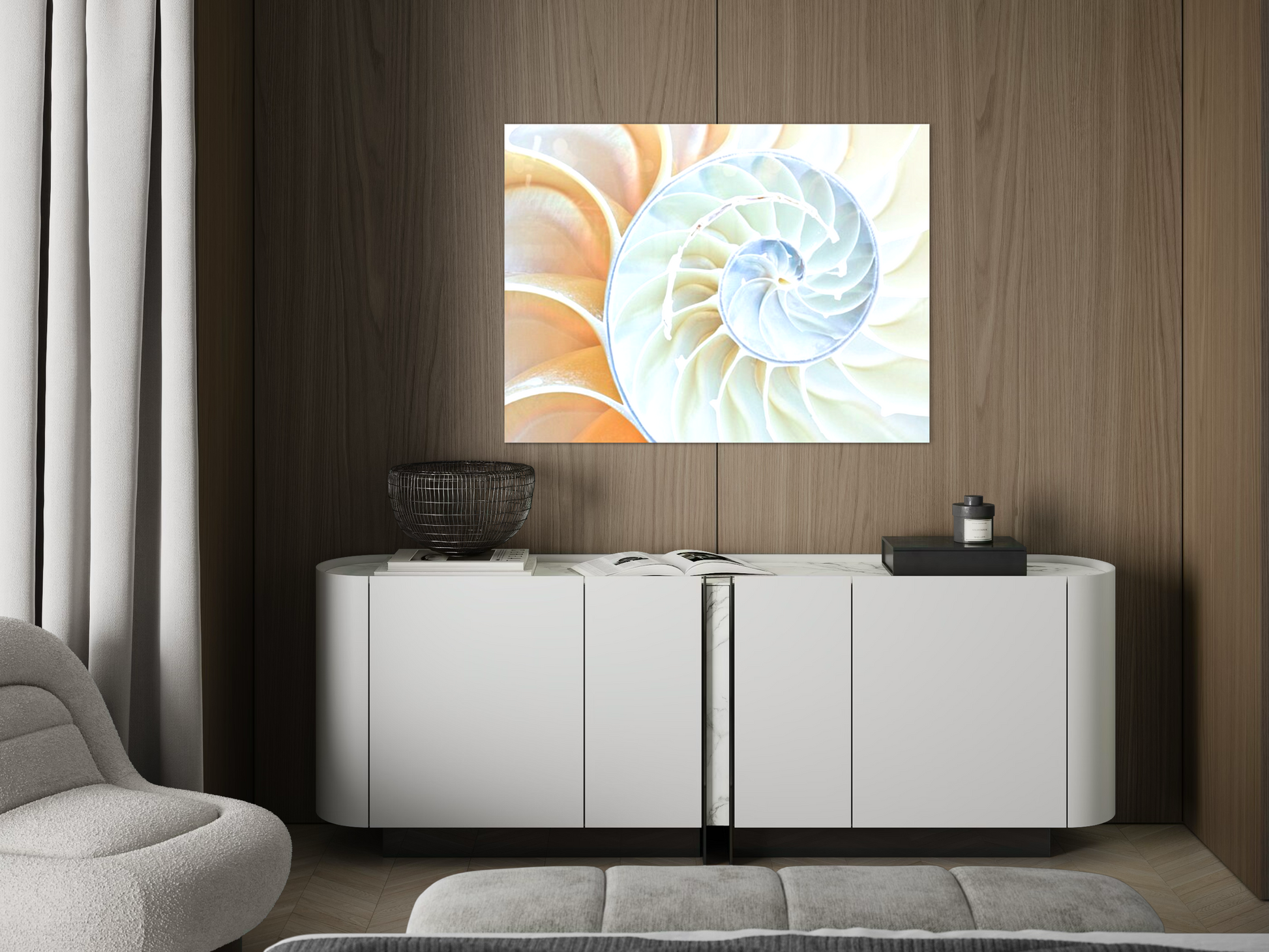 Spiral Perfection Sea Shell Hanging Wall Art