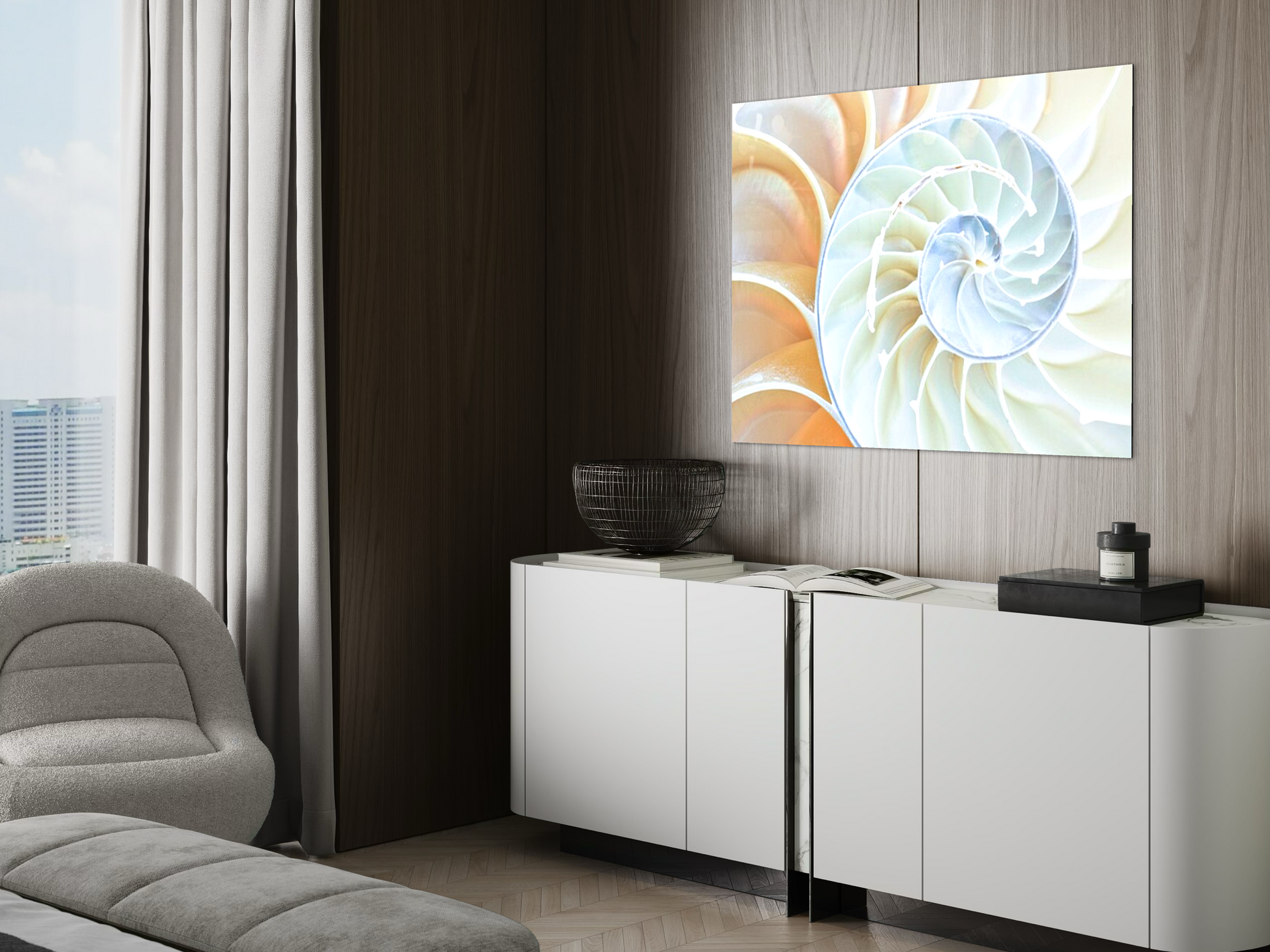 Spiral Perfection Sea Shell Large Wall Art